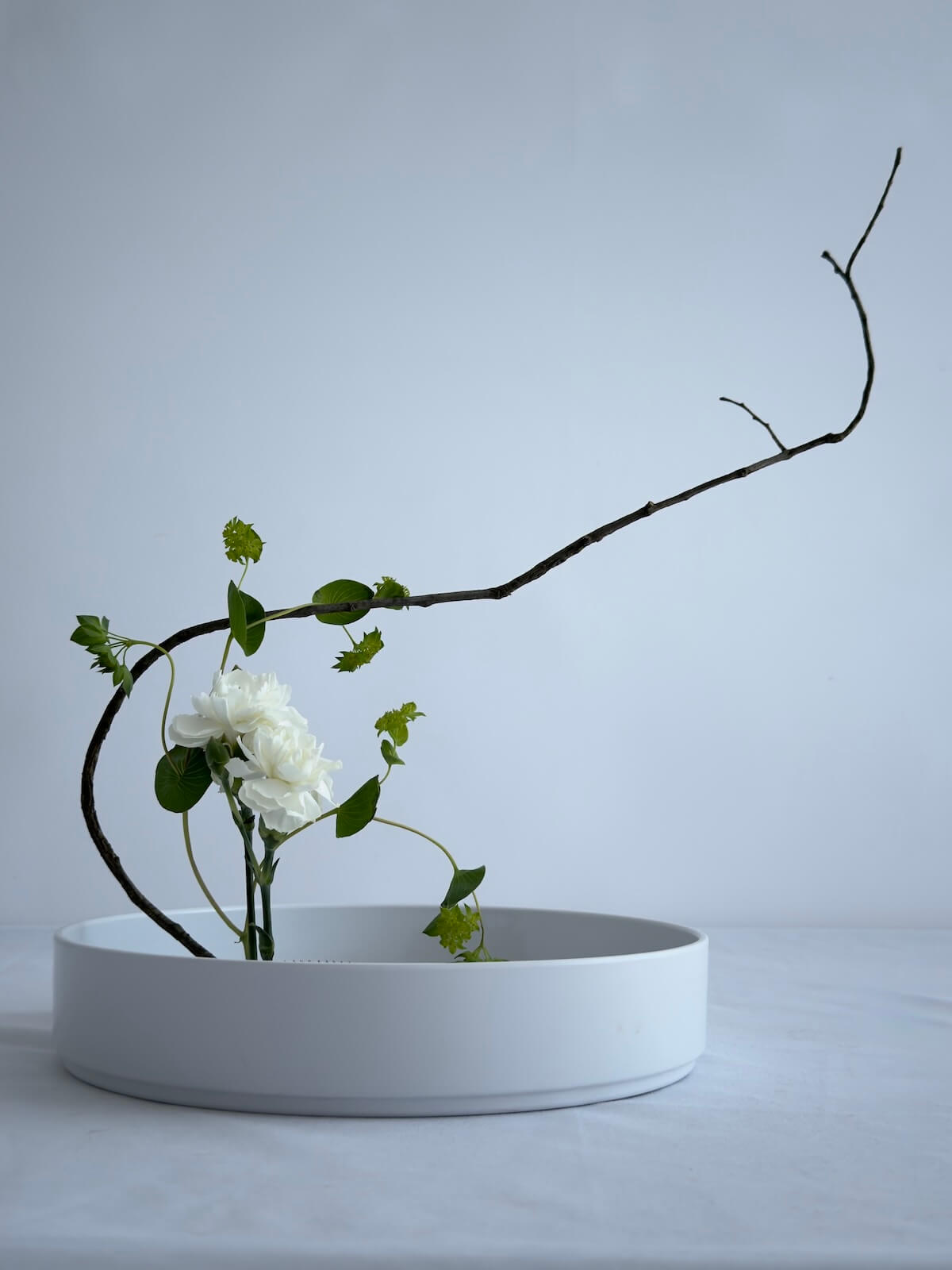 A calming Ikebana flower arrangement highlighting its therapeutic benefits for residents in retirement communities.