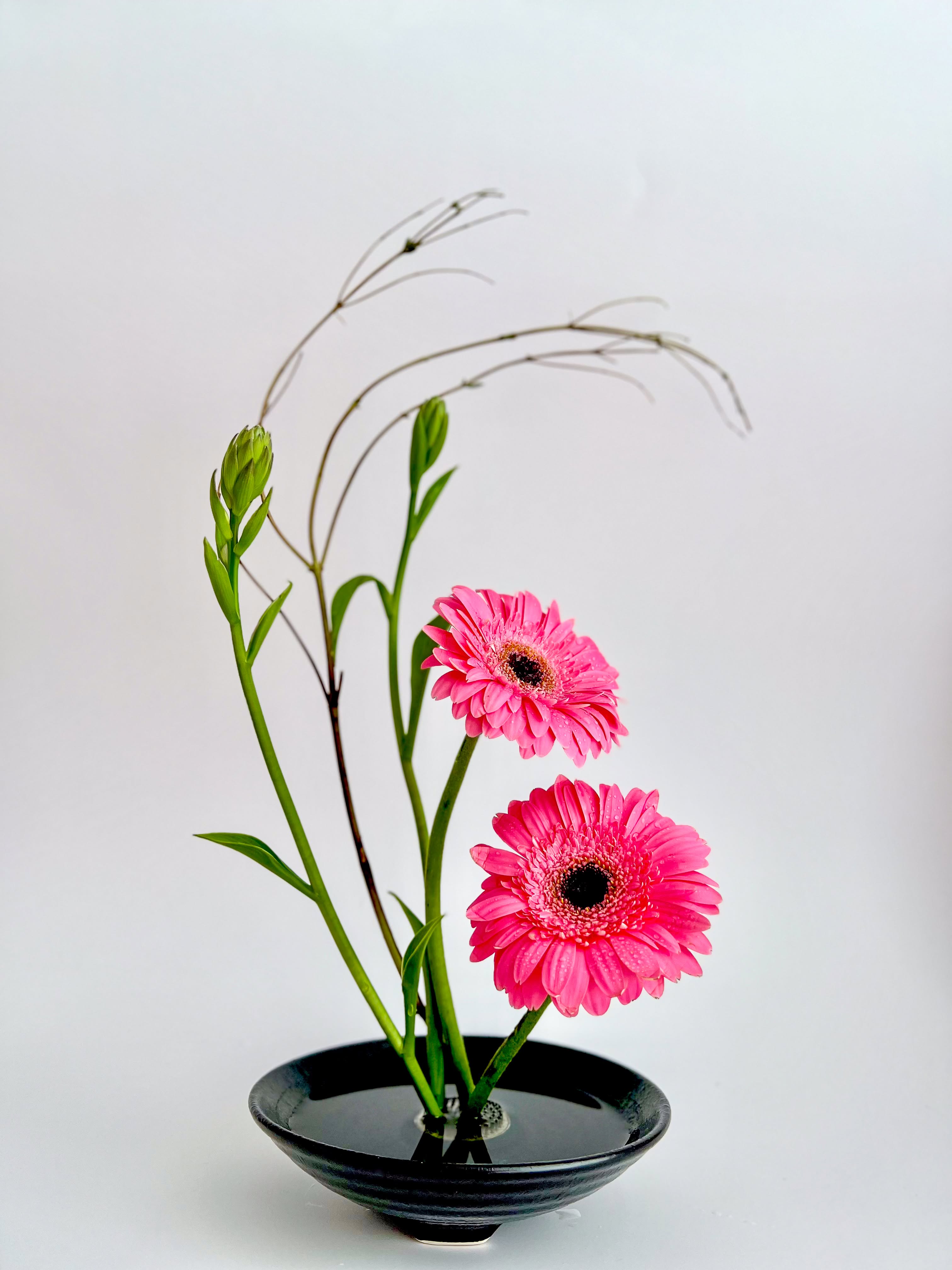Ikebana arrangement that quietly influence your appetite