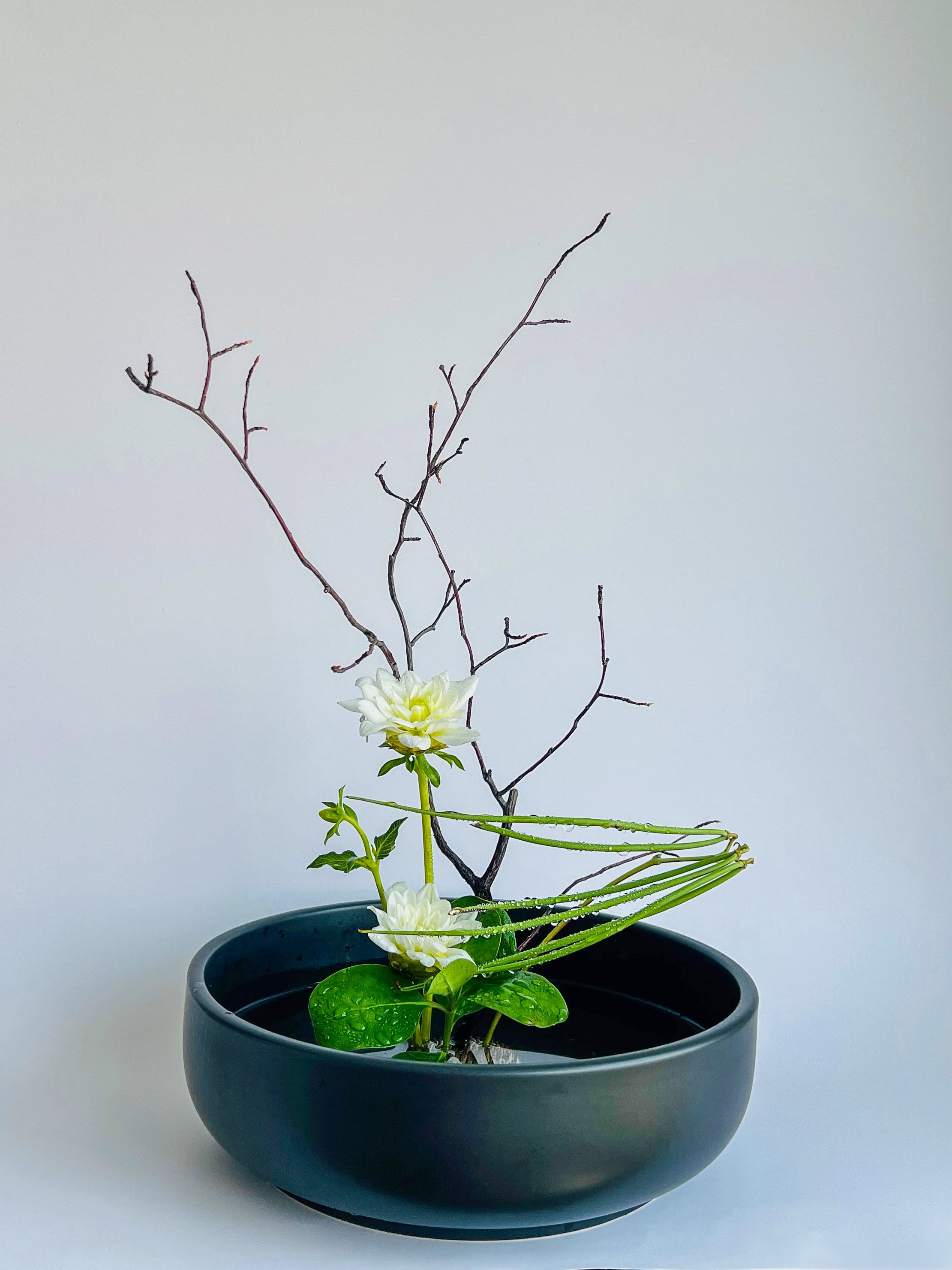 Ikebana arrangement that quietly influence your appetite