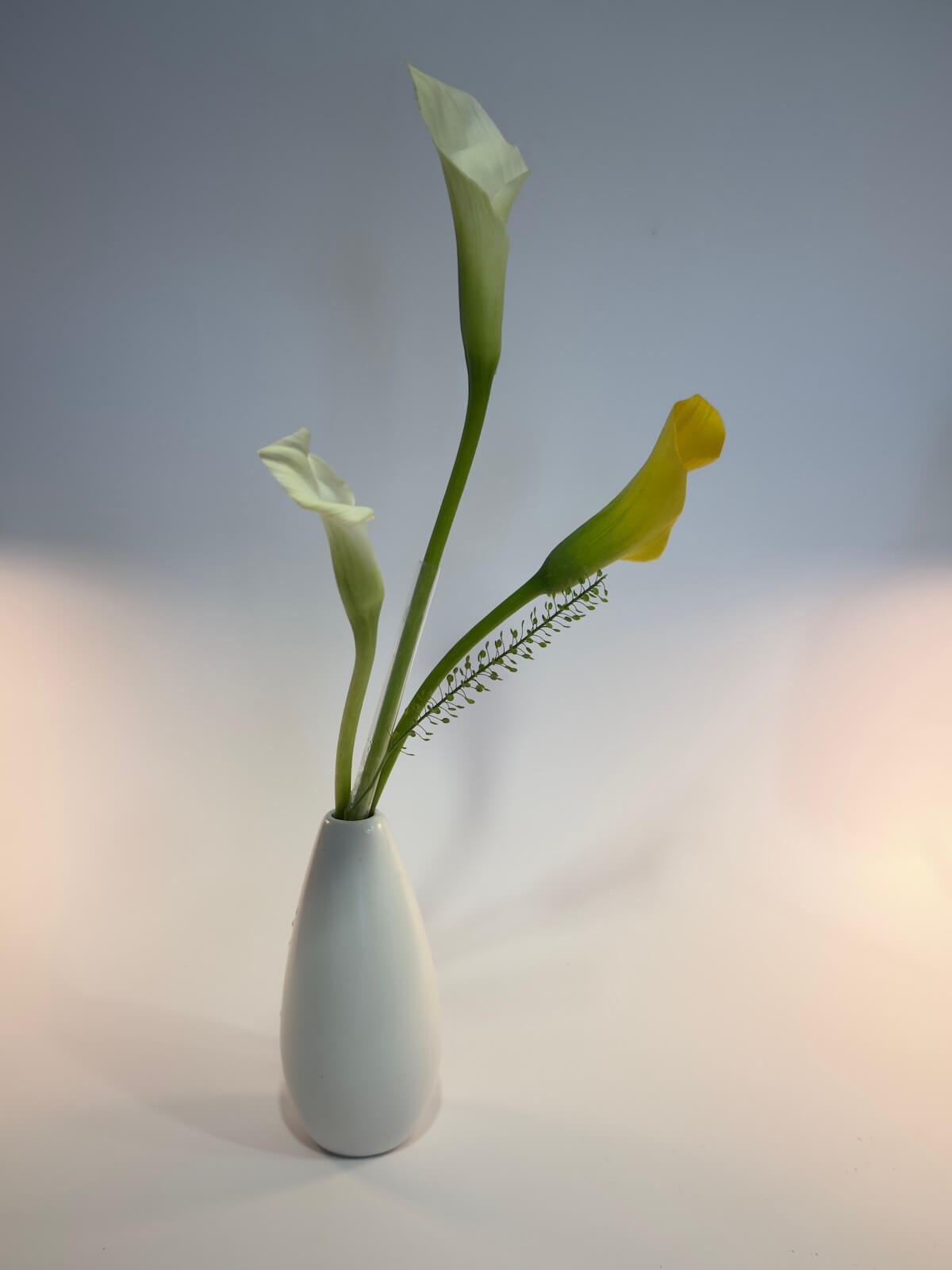 A calming Ikebana flower arrangement highlighting its therapeutic benefits for residents in retirement communities.