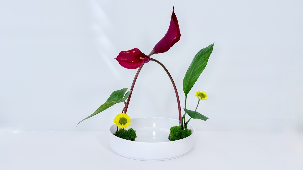 Narcisa Art Studio Ikebana Folio