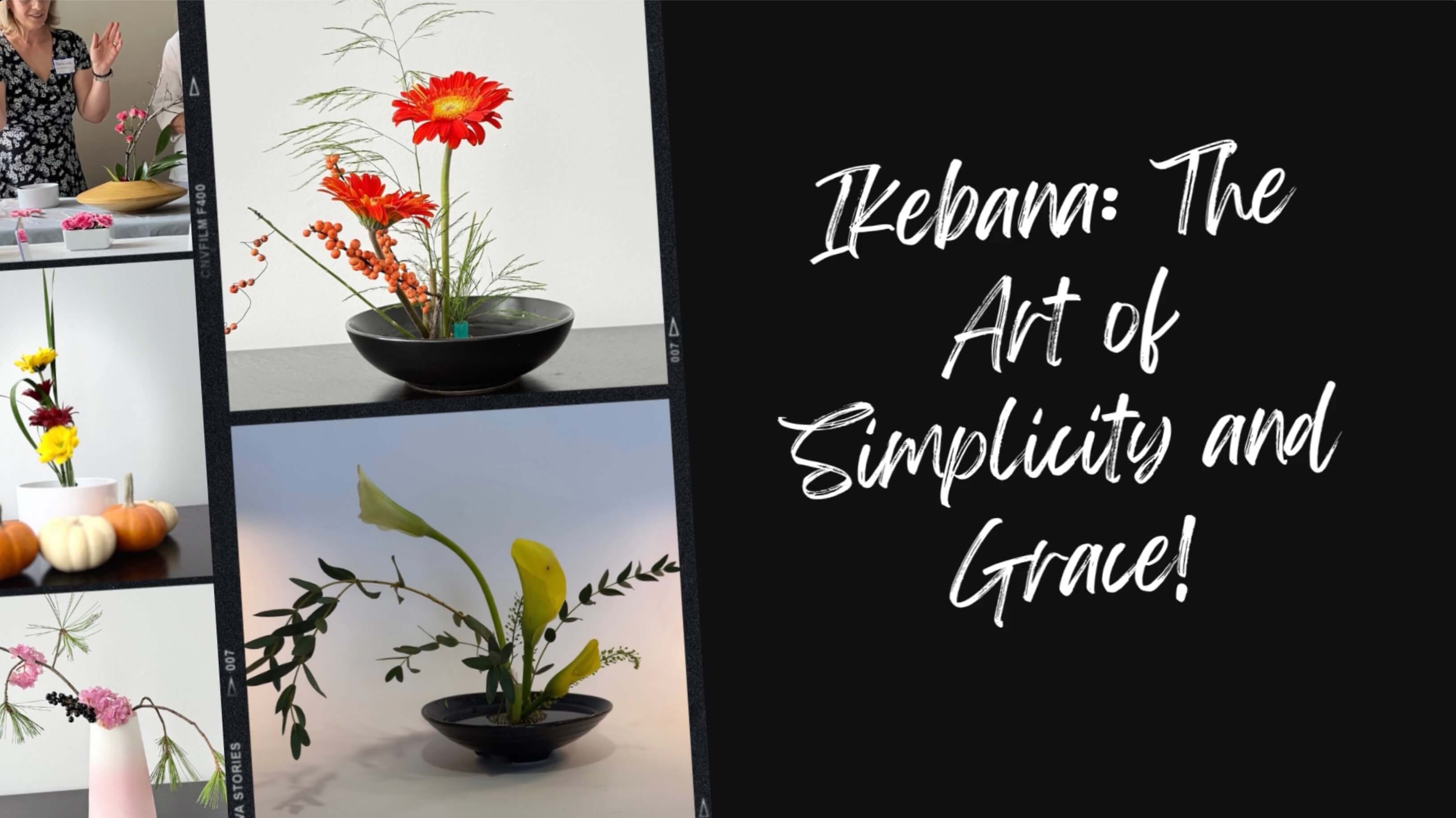 Discover the elegance of Ikebana flower arrangement workshops with Narcisa Art Studio.